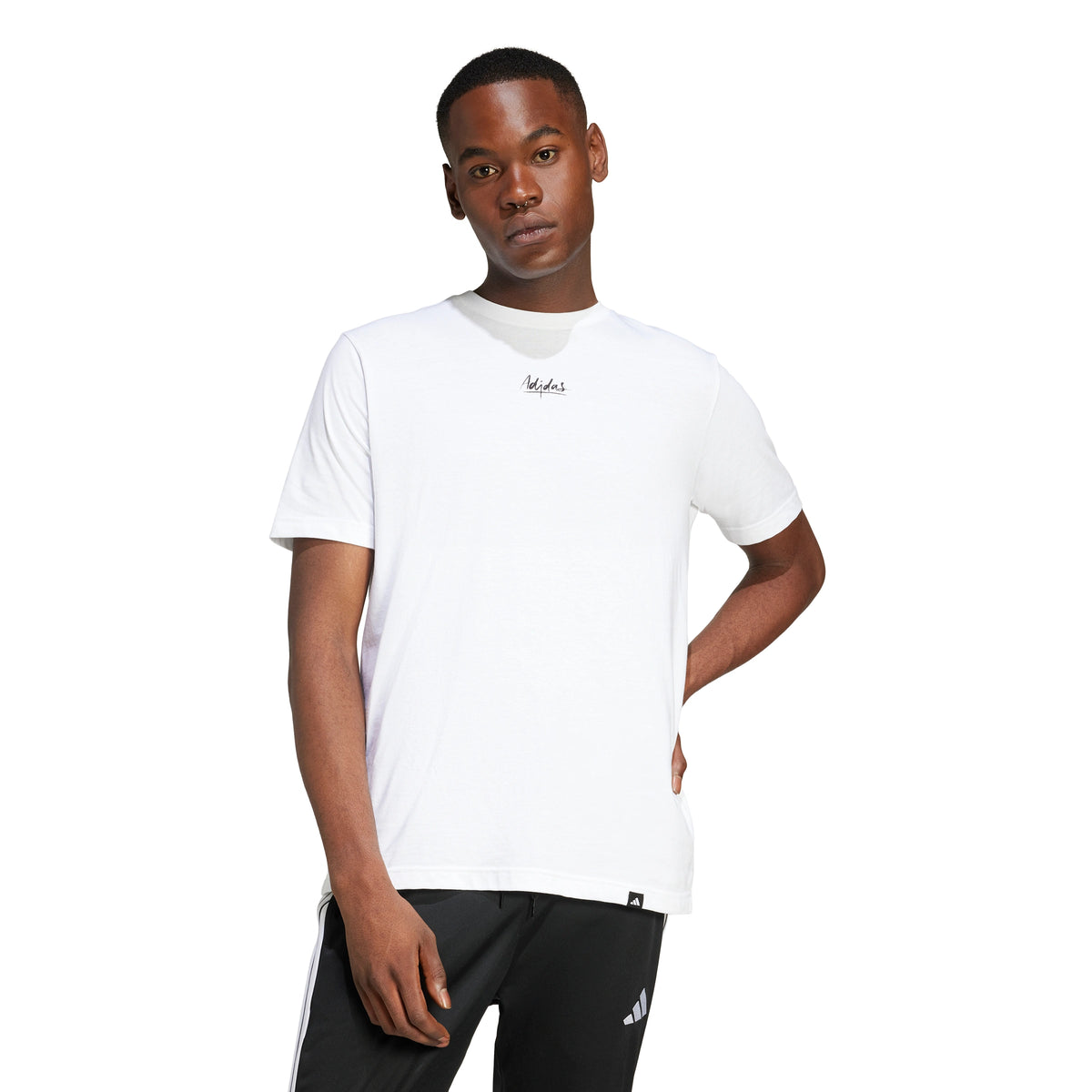 未開封】 Man 1st Pop-up Tシャツ ホワイト Lサイズ 未開封】 Man 1st