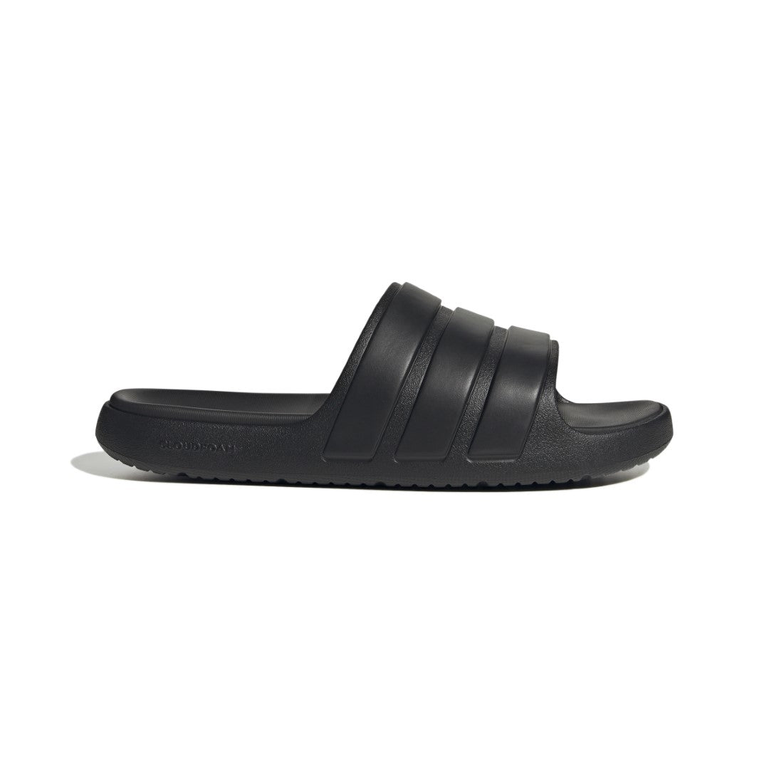 Znsory Slides