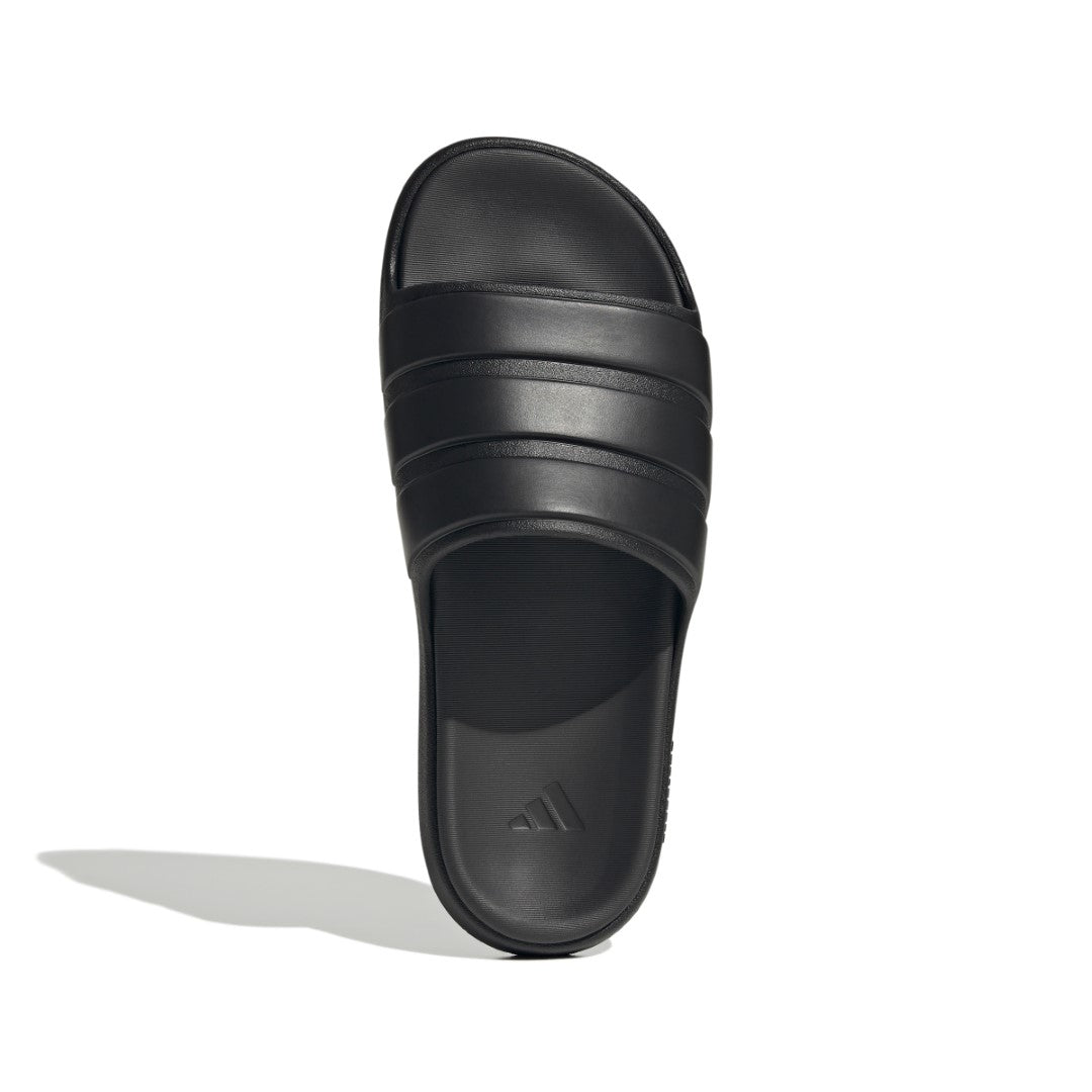Znsory Slides