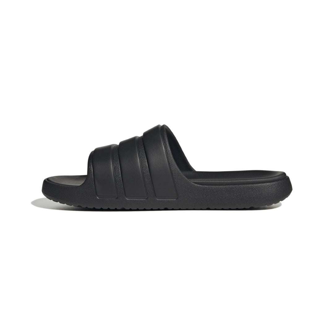 Znsory Slides