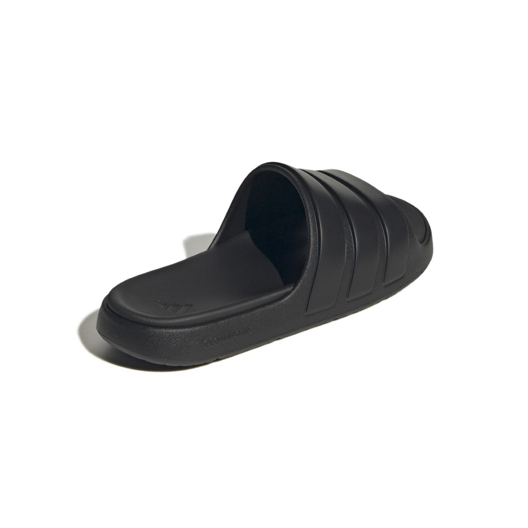Znsory Slides
