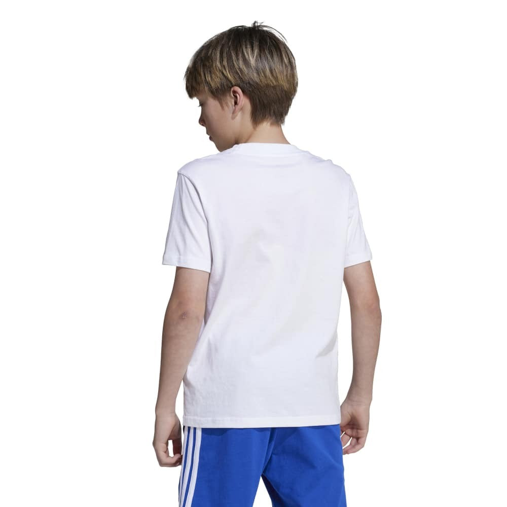 تي شيرت أساسيات