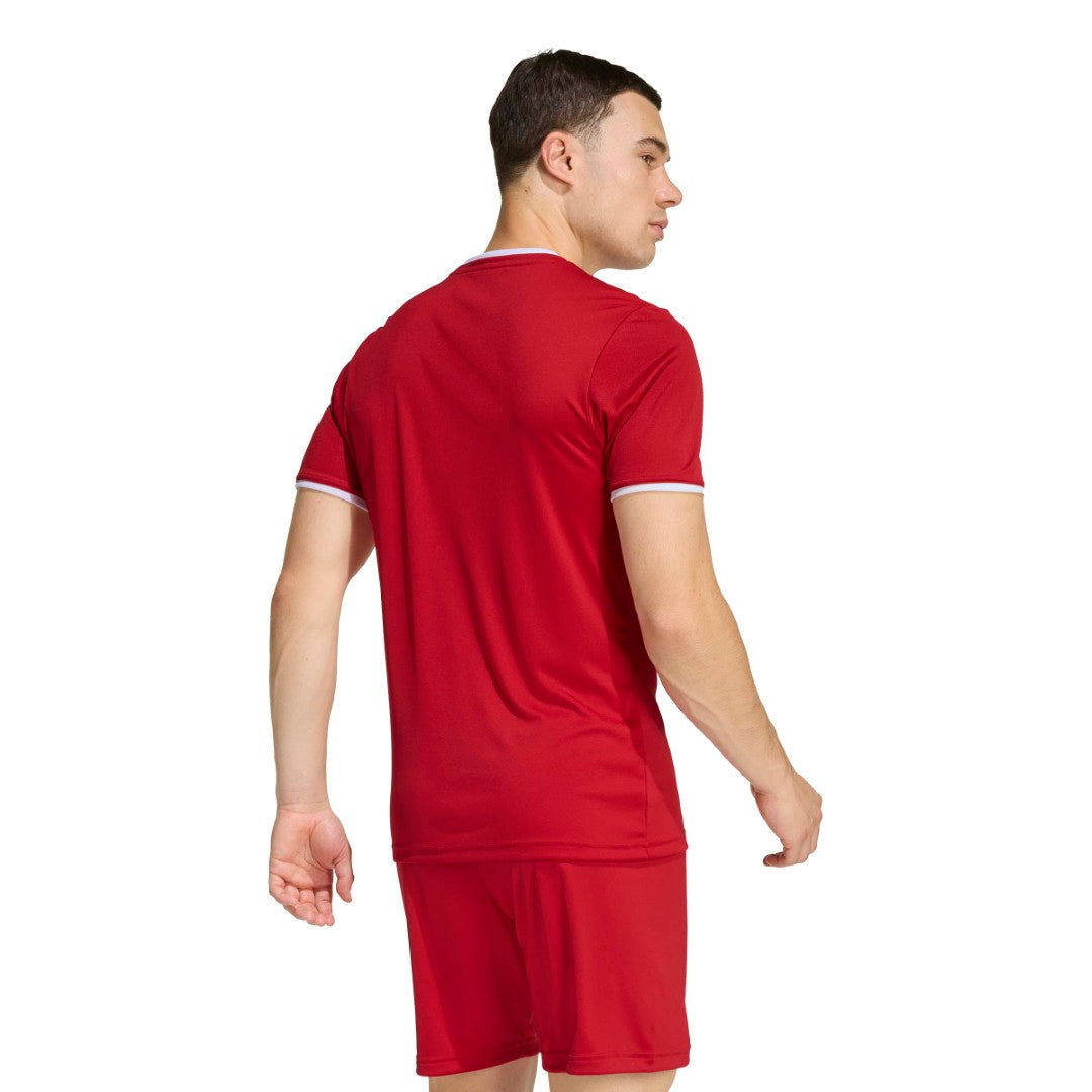 Entrada 26 Jersey