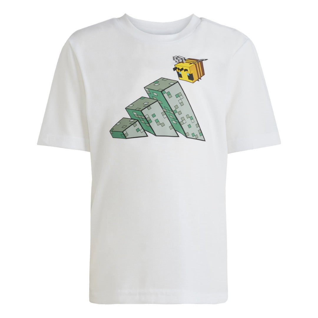 Minecraft Training Matching Set