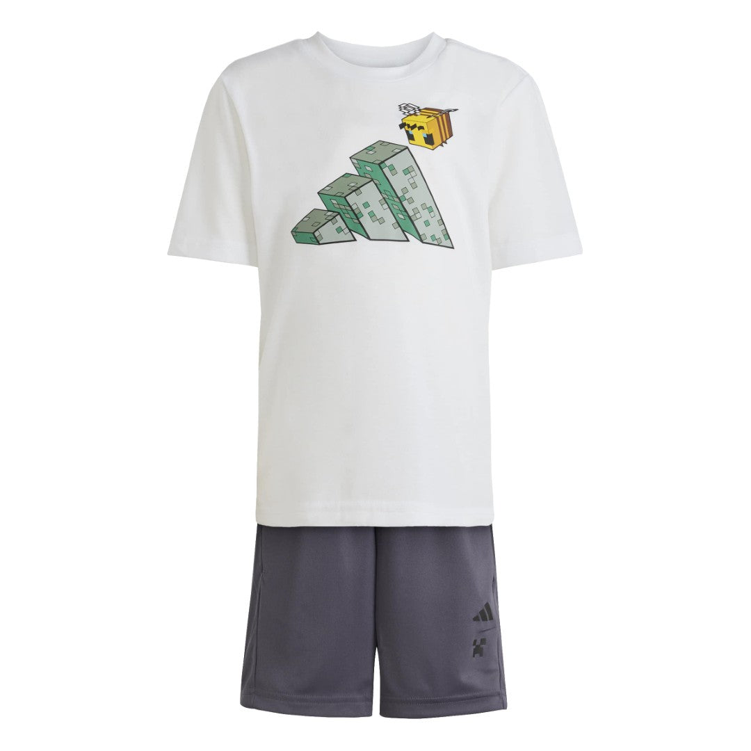 Minecraft Training Matching Set