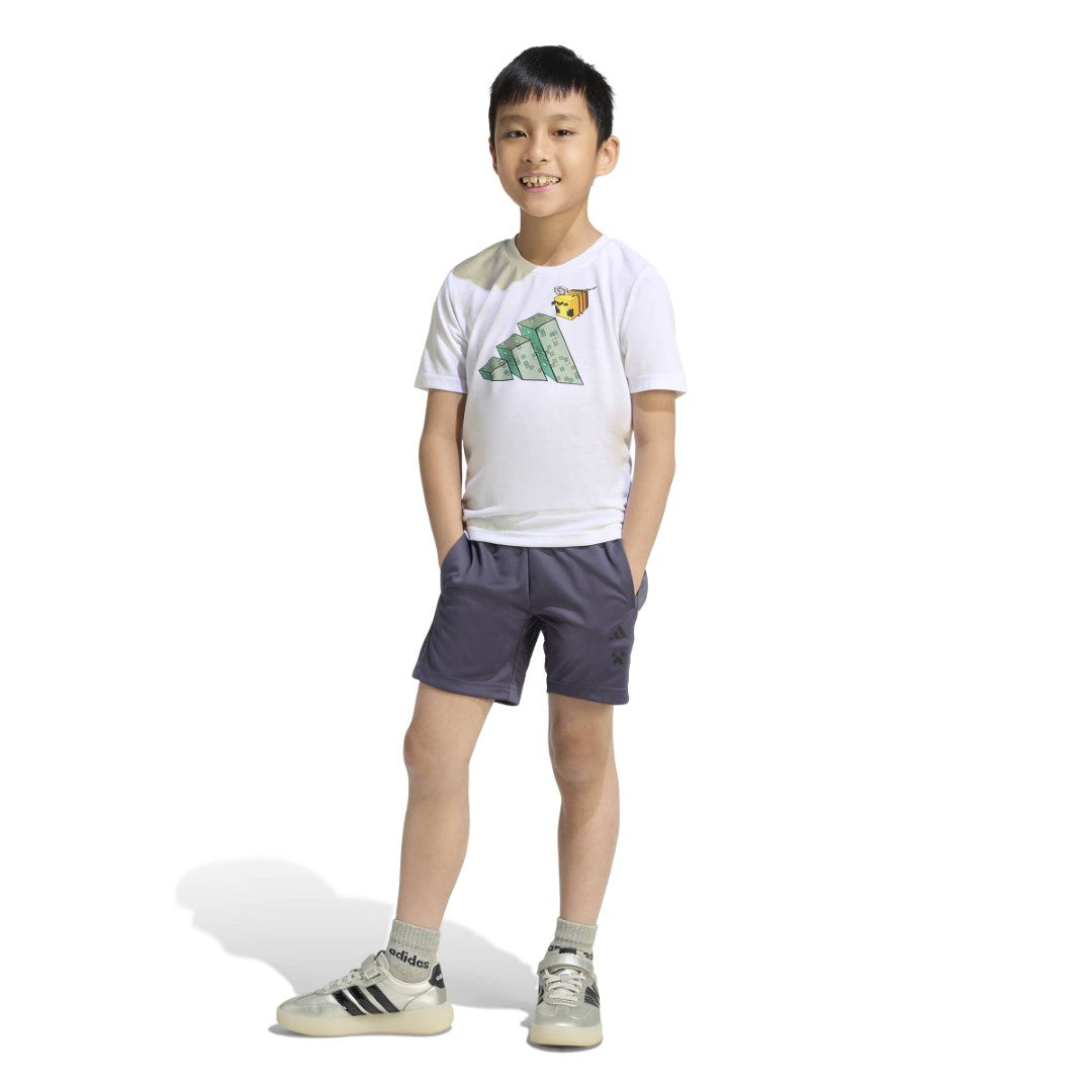 Minecraft Training Matching Set