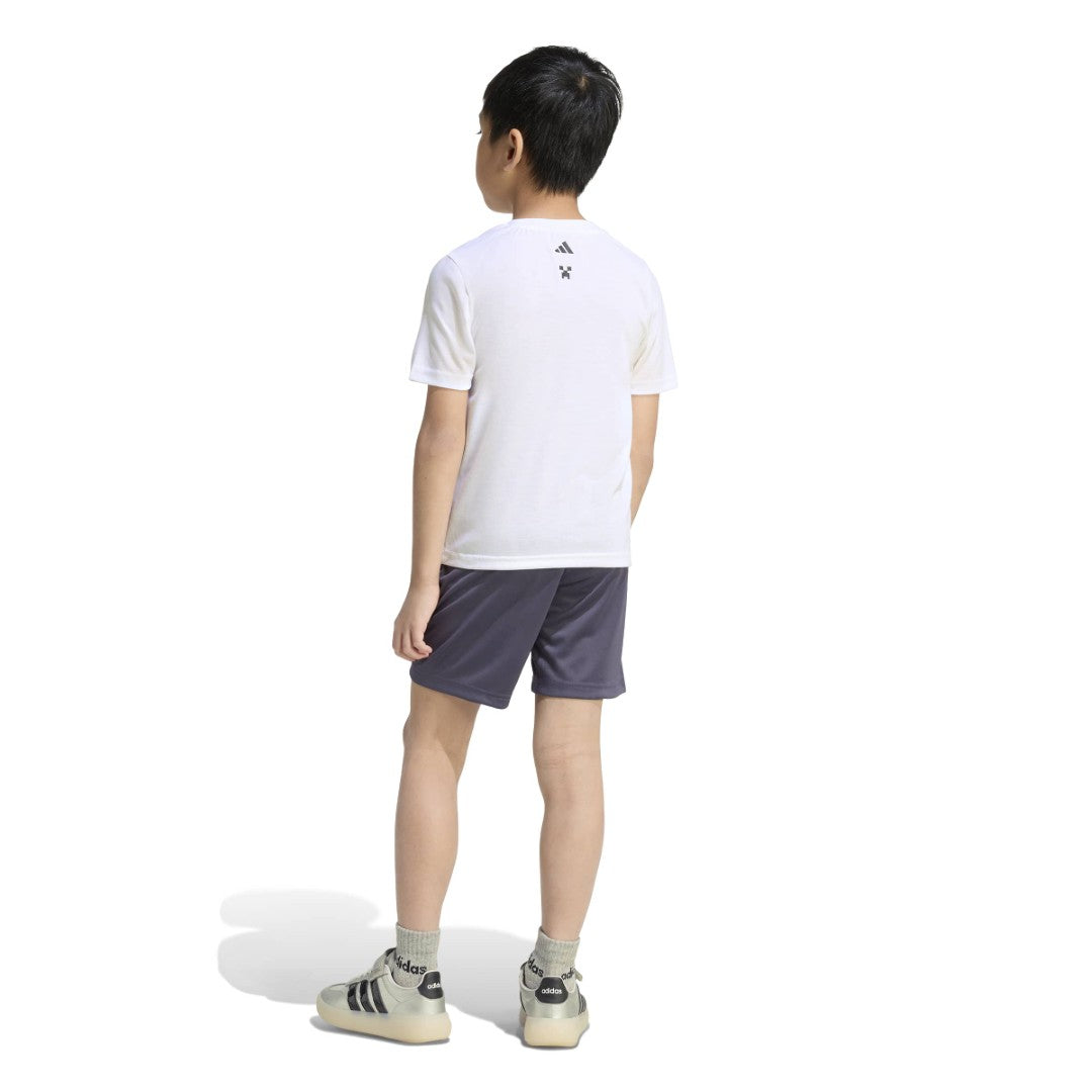 Minecraft Training Matching Set