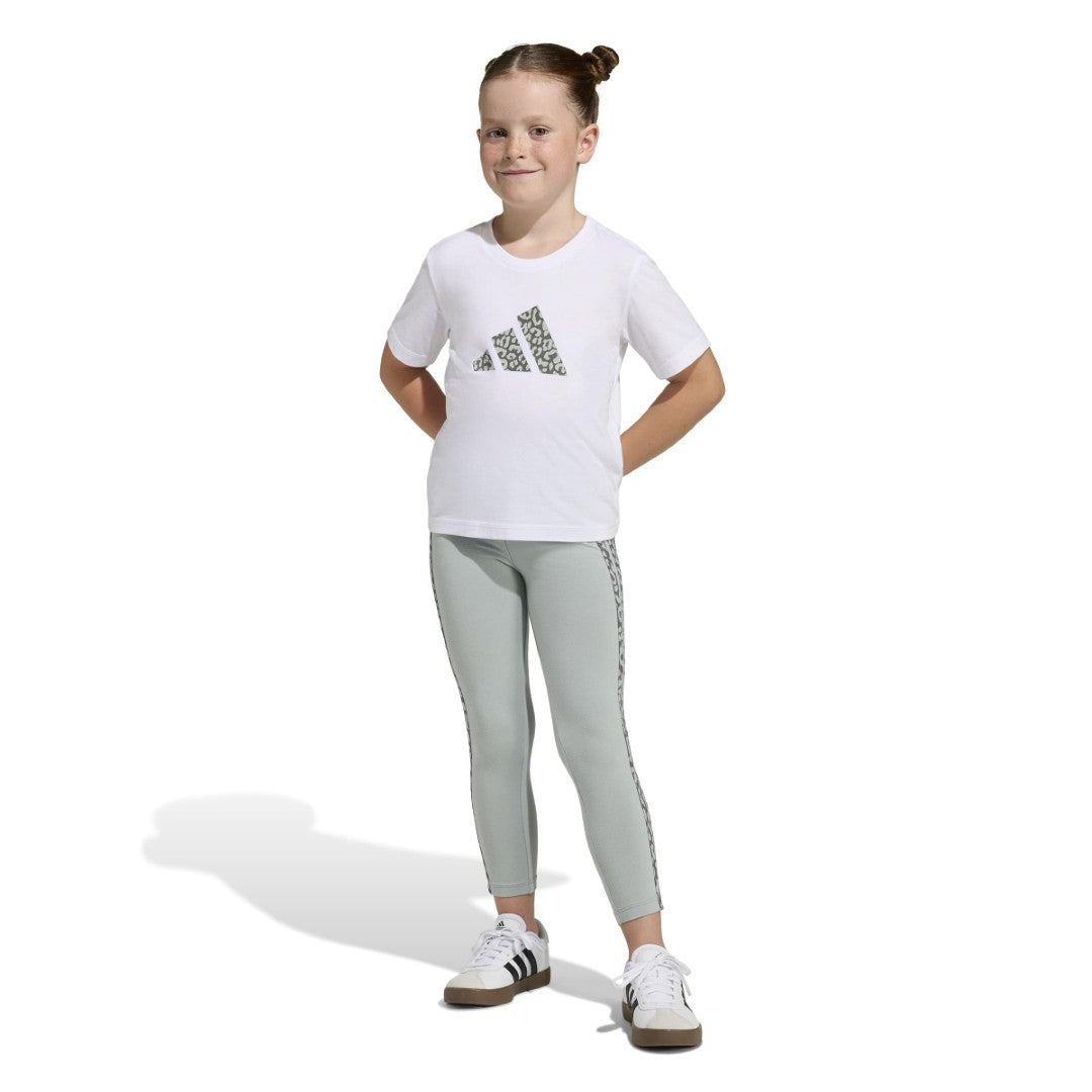 Seasonals Animal Matching Set