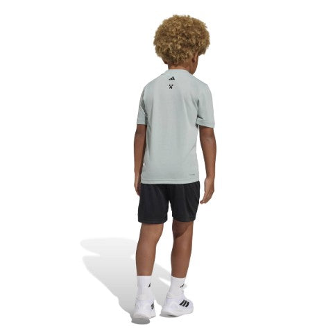 Minecraft Training Summer Set