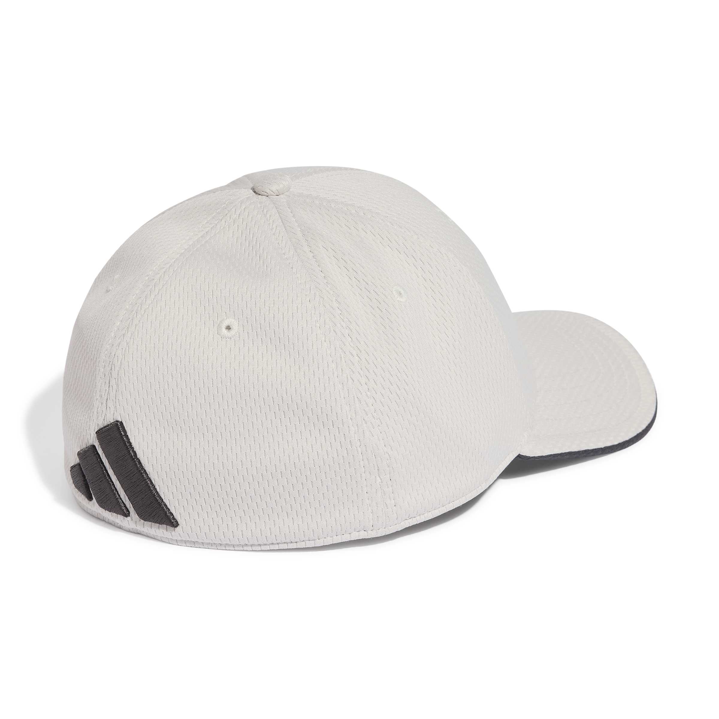 Audi Formula One Team Dna Flex Cap