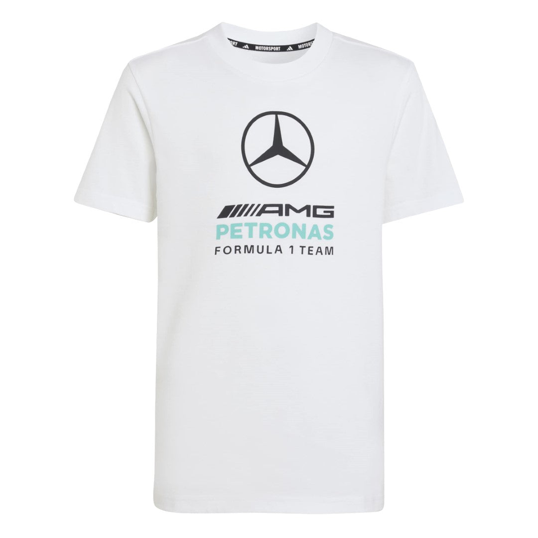 Mercedes - Amg Petronas Formula 1 Team Dna Graphic T-Shirt