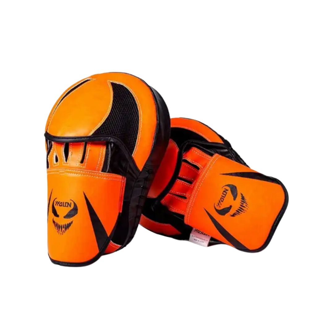 Pair of Wolon focus mitt