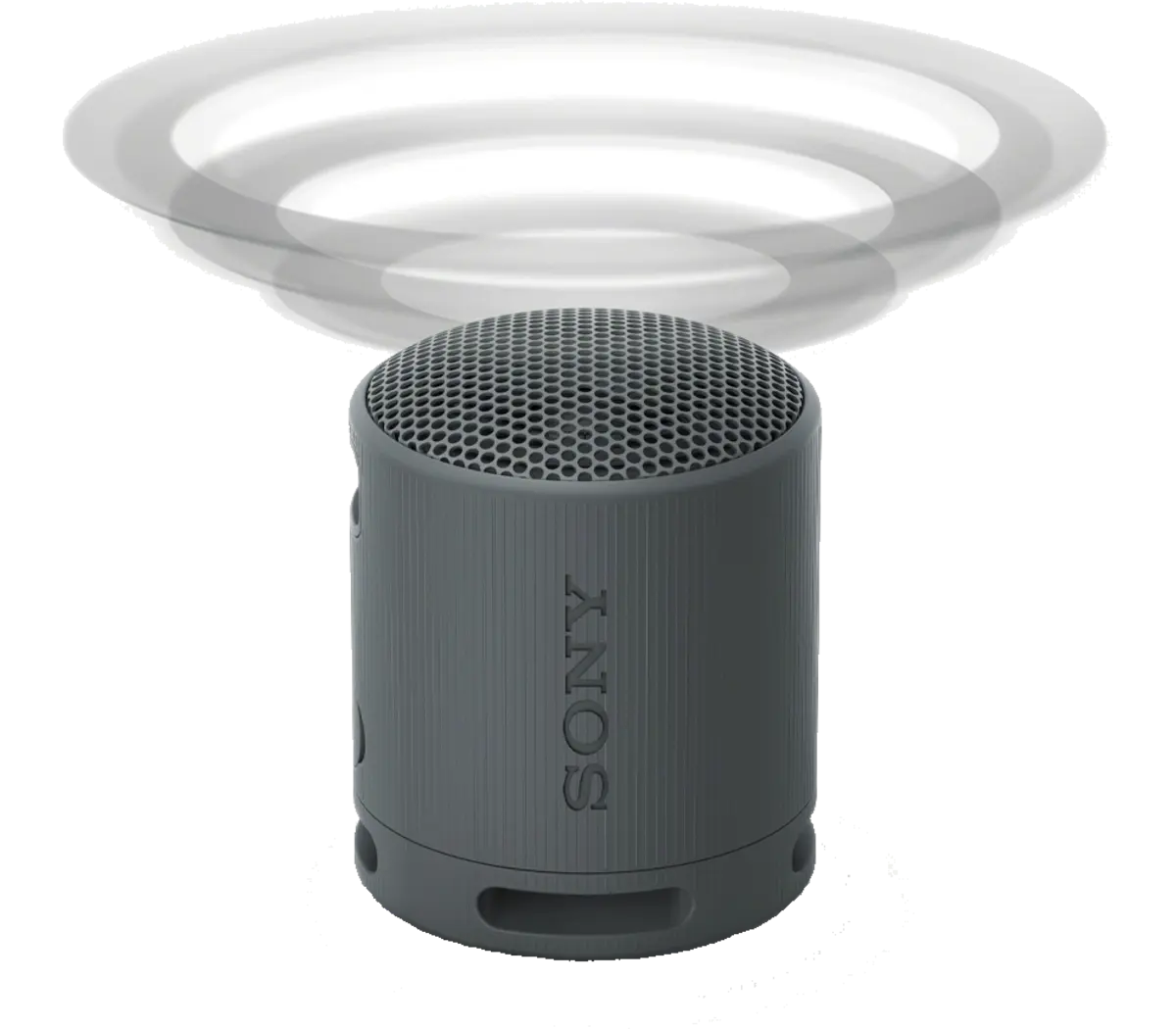 مكبر صوت بلوتوث محمول SRS-XB100