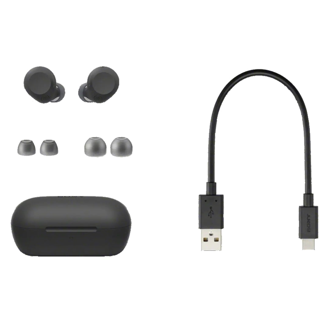 WF-C710N Truly Wireless Noise Canceling Earbuds