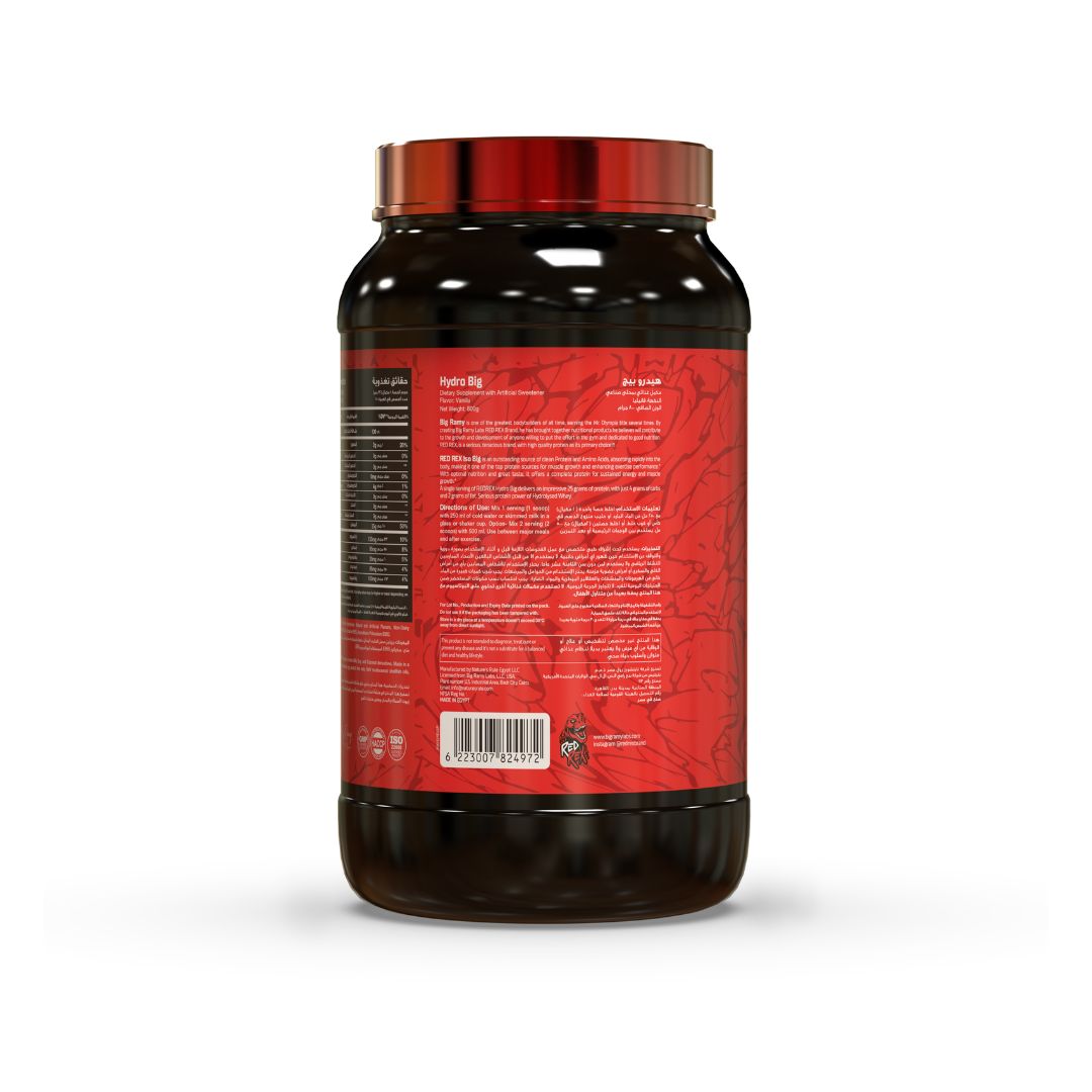 Hydro Big Vanilla - 800 Gm