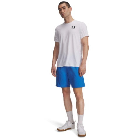 UA Tech Woven Wordmark Shorts