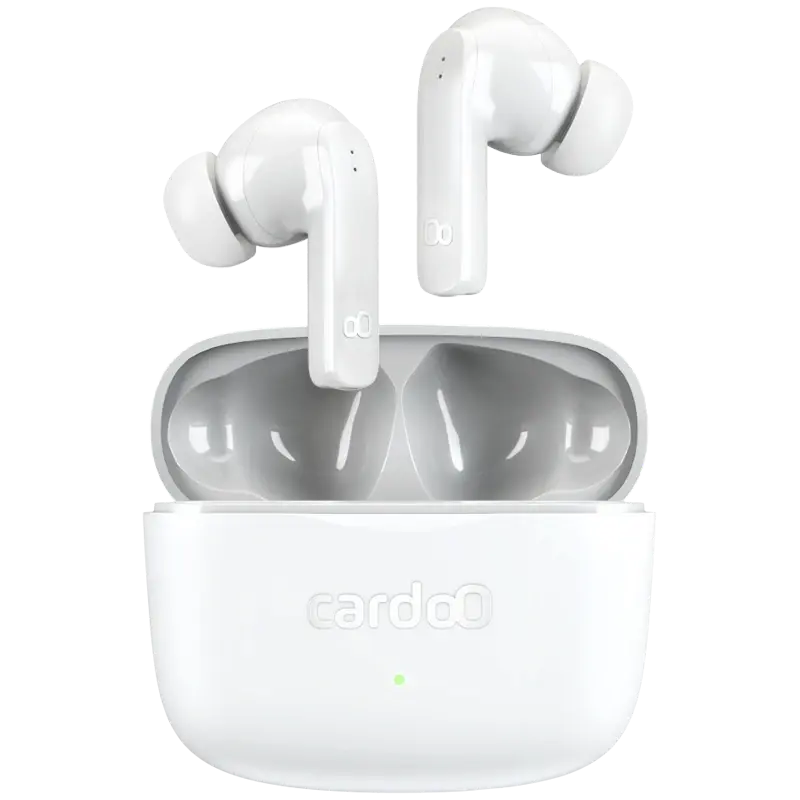 cardoO Buds White