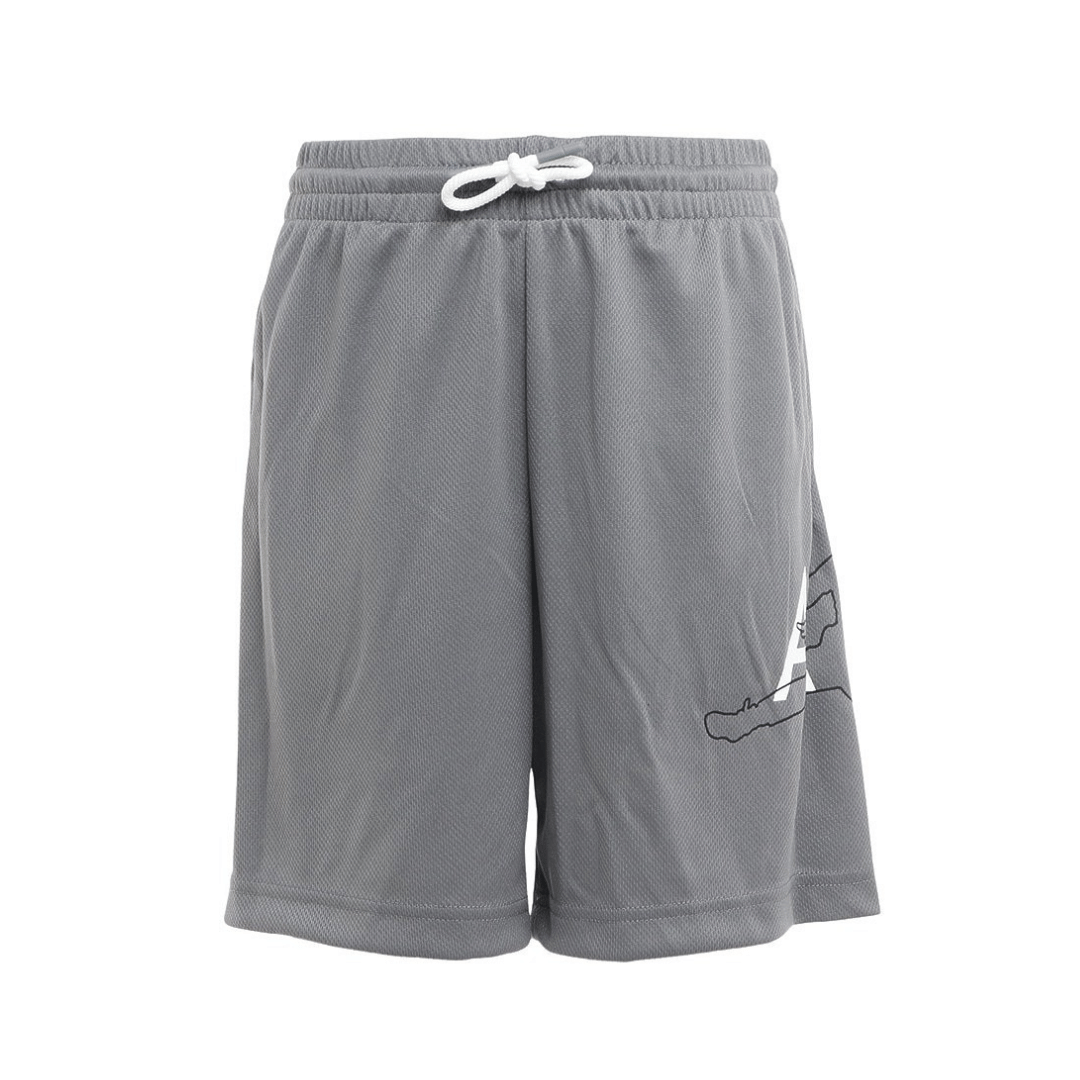 Grey 2025 jordans 219