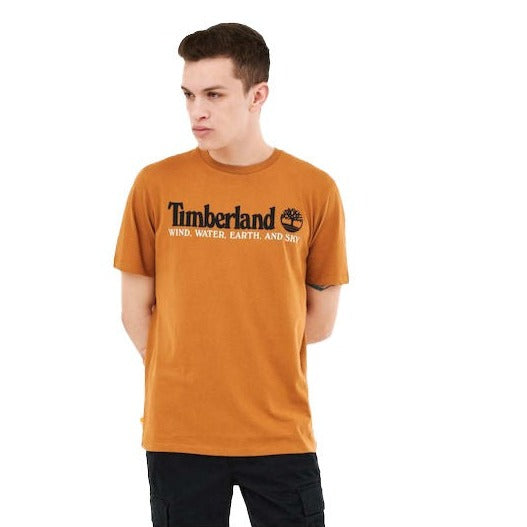 Wwes Front Graphic (Regular) T-shirt