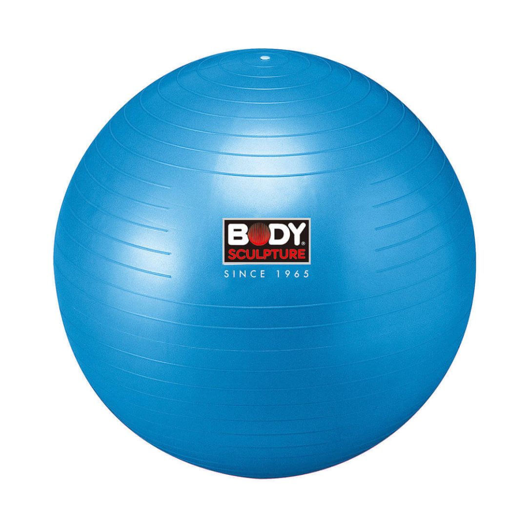 Gym Ball / Swiss Ball (76Cm)