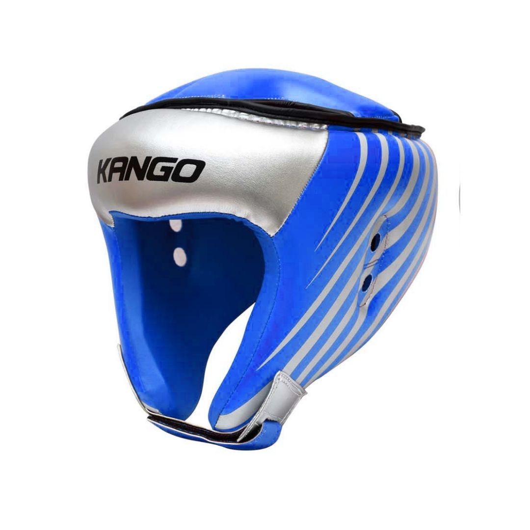 Head Guard