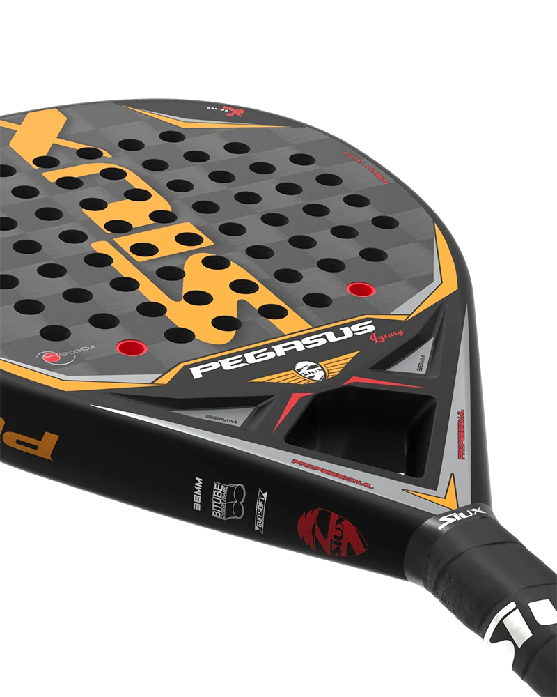 Padel Racket Pegasus Luxury Graphene 24K