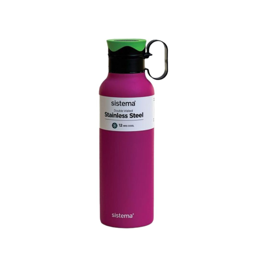 Stainless Steel Bottle Traverse 600 ml