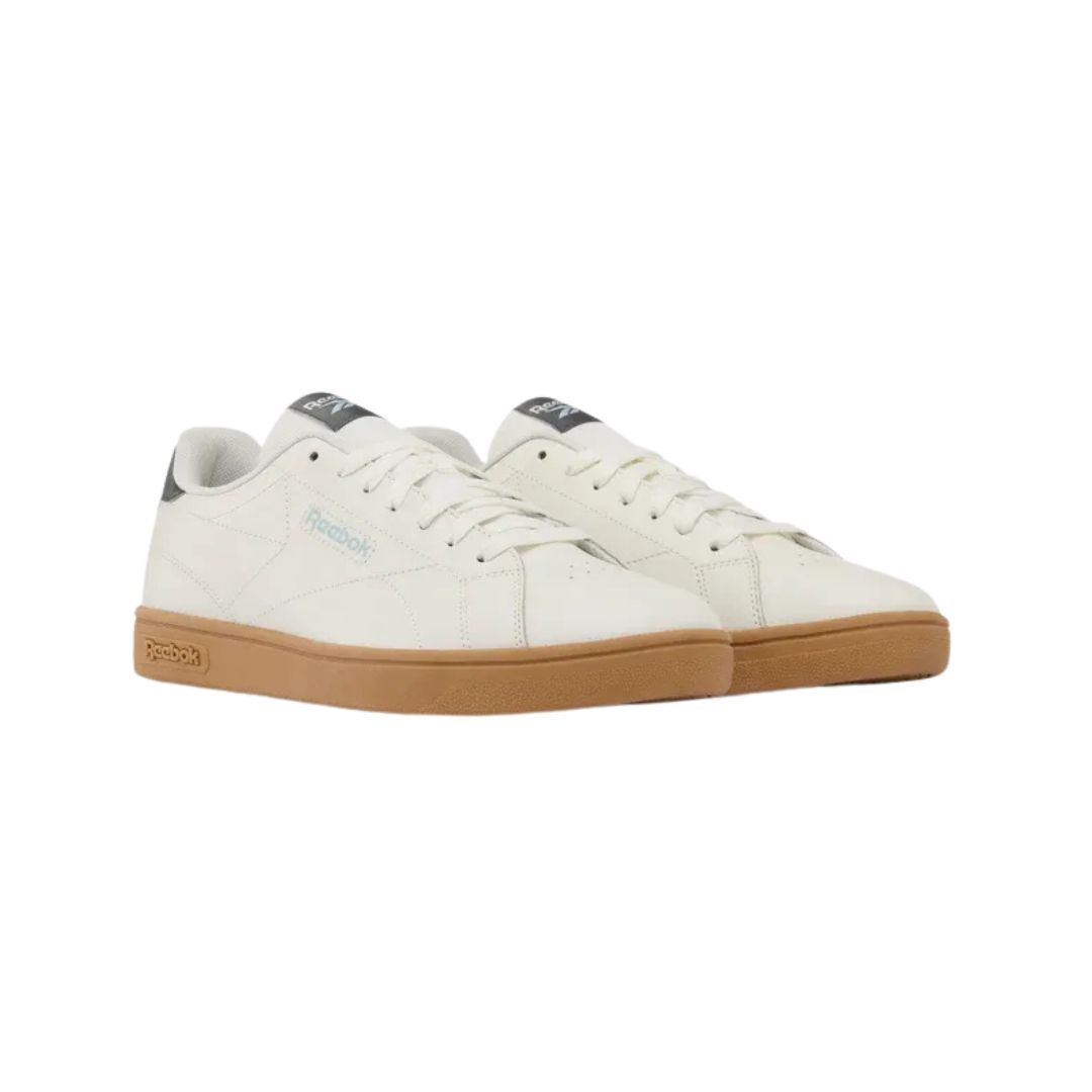 Court Clean Shoes