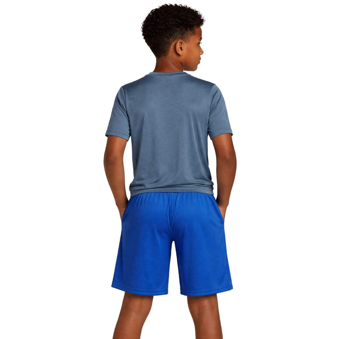 UA Challenger Knit Shorts