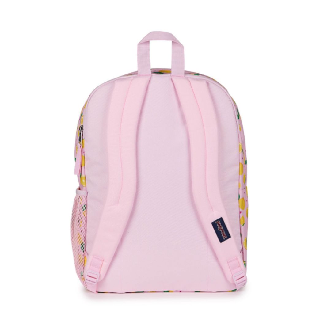 Big Student Backpack