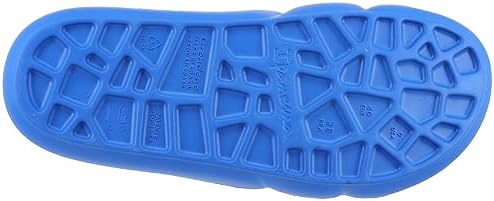 Bliss Slides