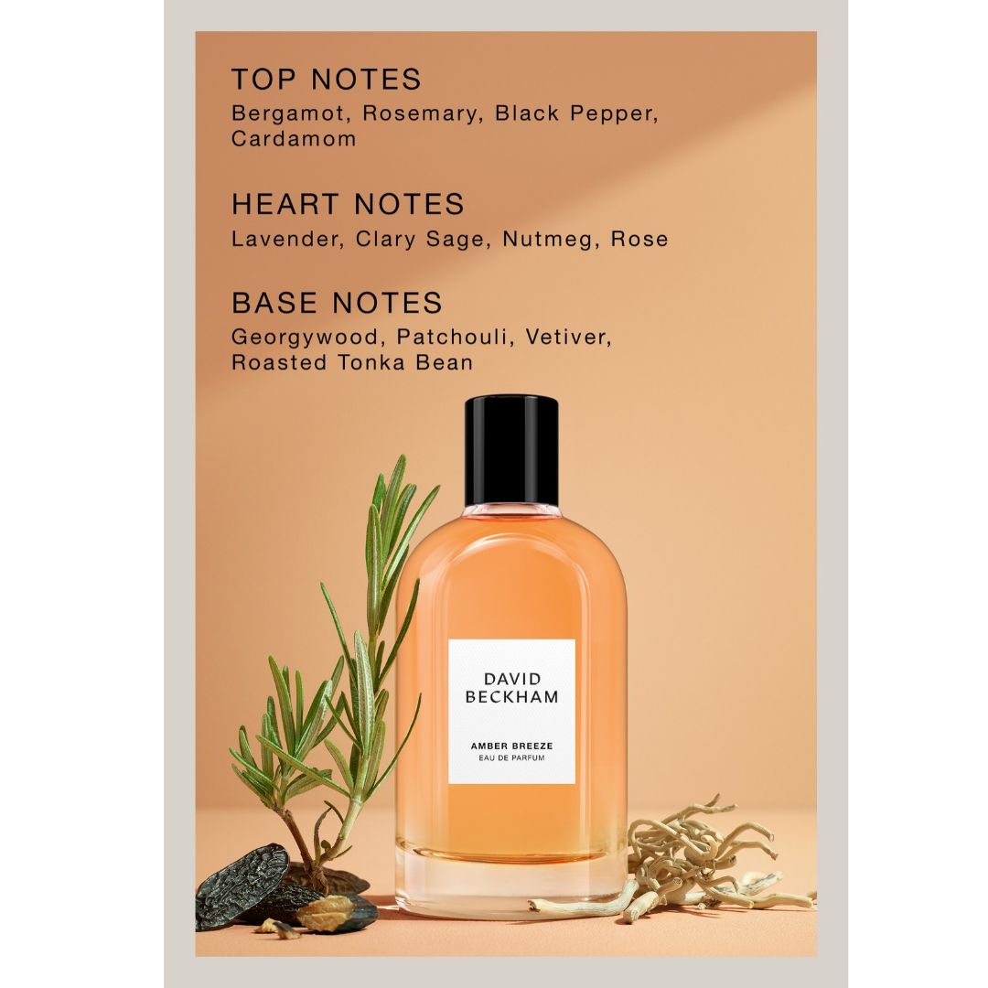 Collection Amber Breeze Eau De Parfum - 100ml