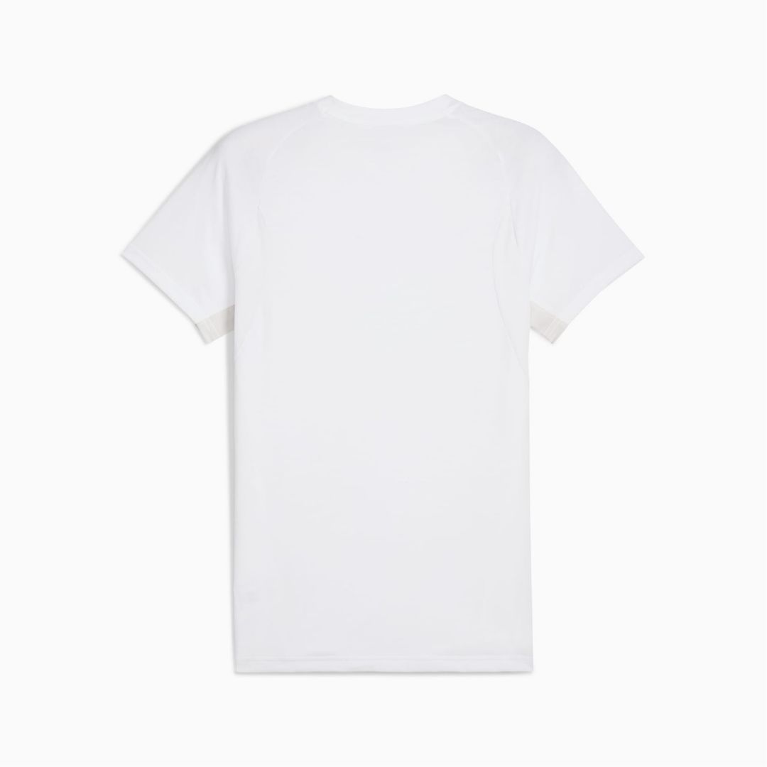 teamGOAL Evostripe Tee