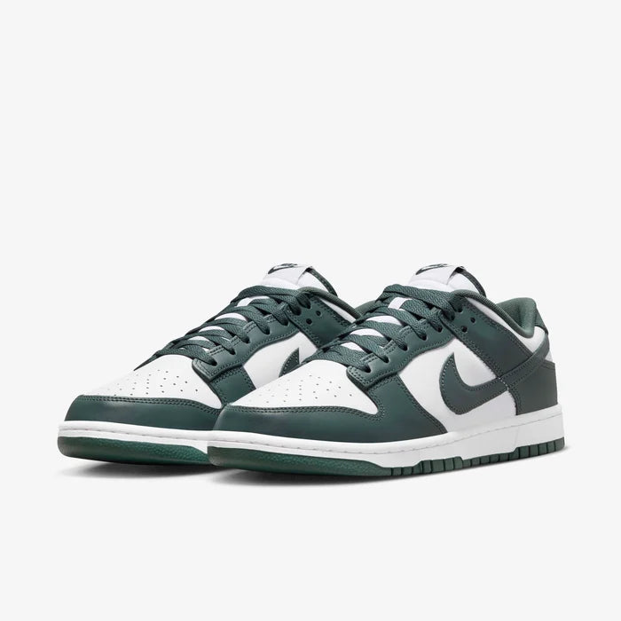 Dunk Low Retro Lifestyle Shoes