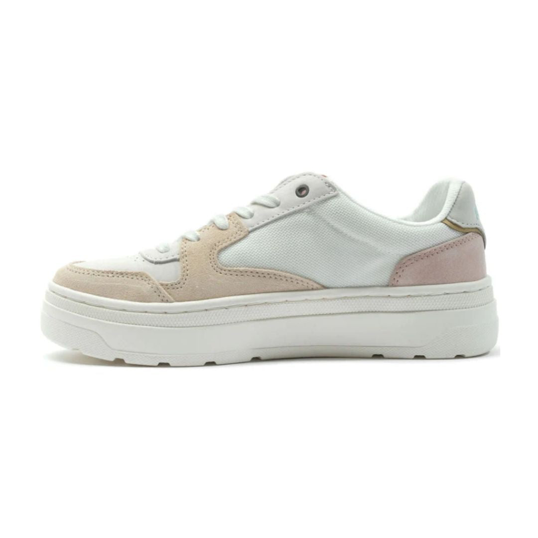 Pallasphalt Lo Star Sneaker