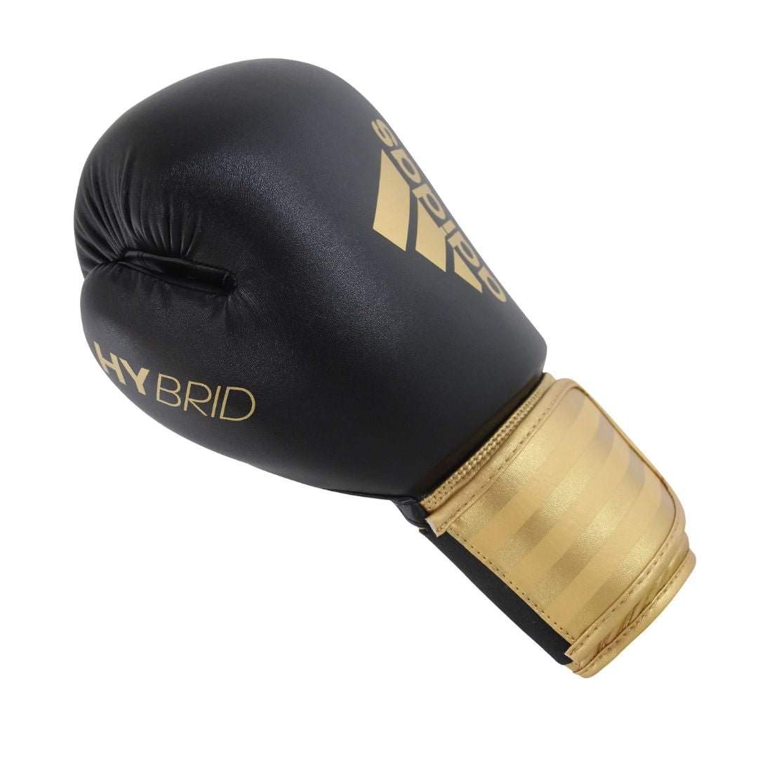 Boxing Gloves Hybrid-100