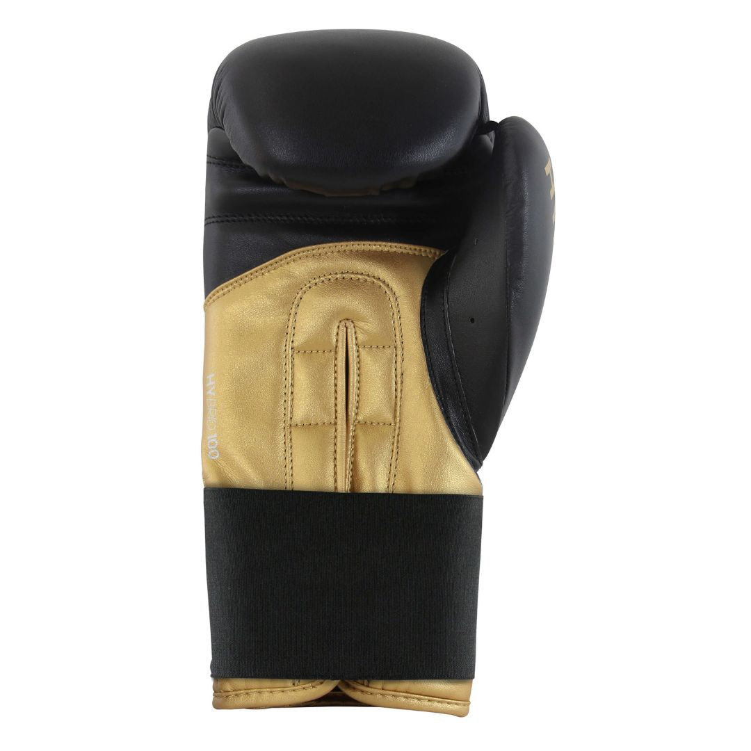 Boxing Gloves Hybrid-100