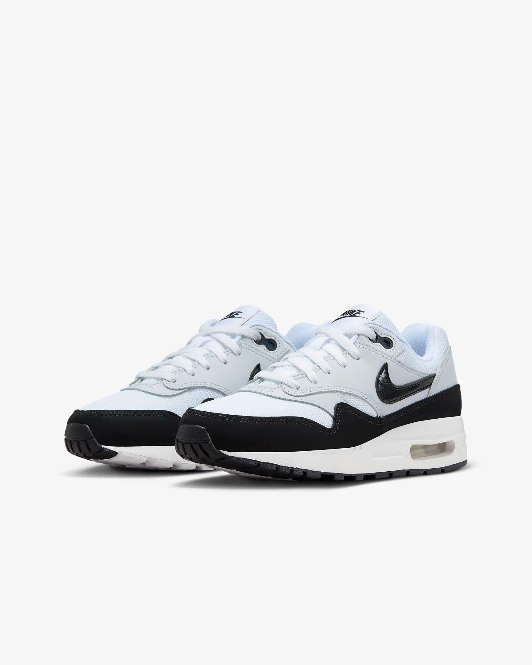 Air Max 1 Lifestyle Shoes