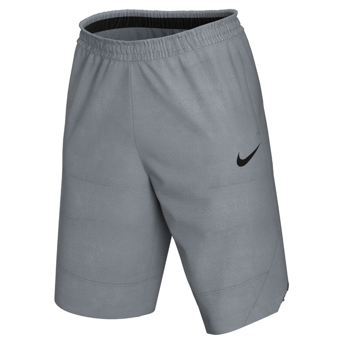 Dri-FIT Icon Shorts