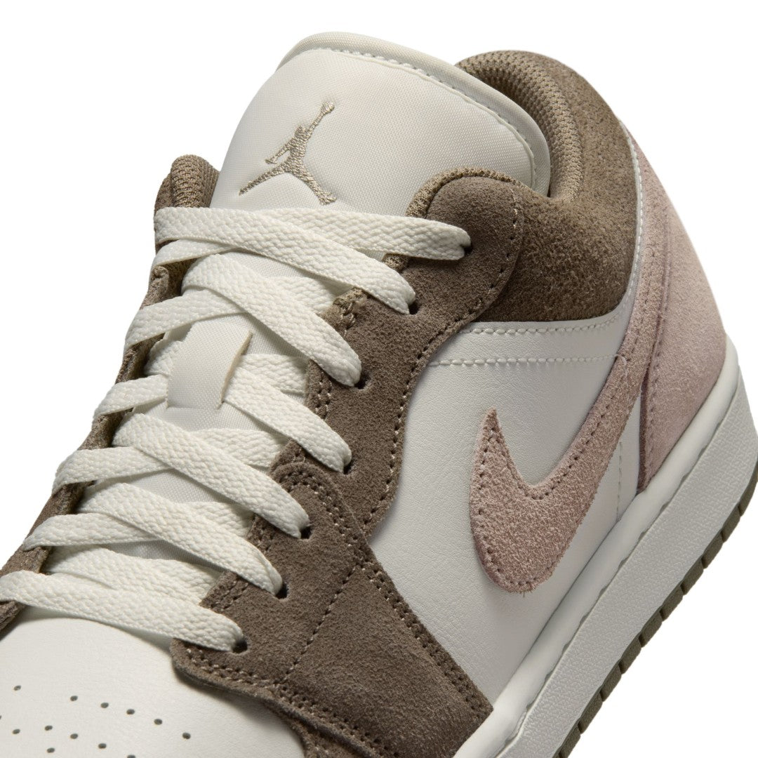 Air Jordan 1 Low Shoes
