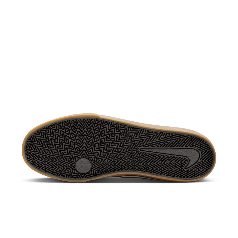 SB Chron 2 Canvas Lifestyle Shoes