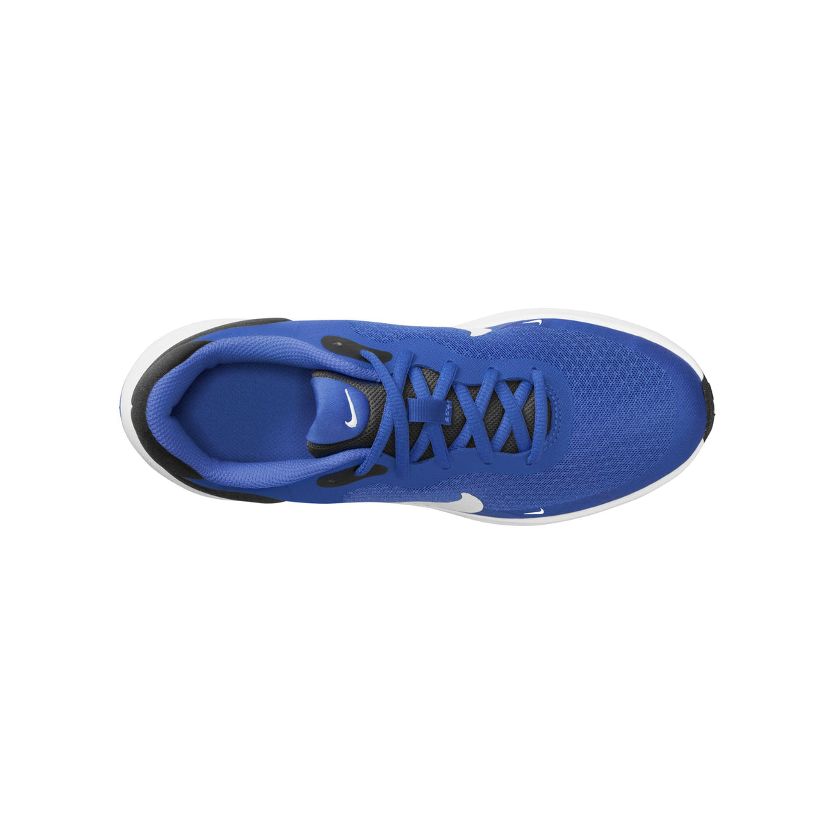 Revolution 7 Road Running Shoes
