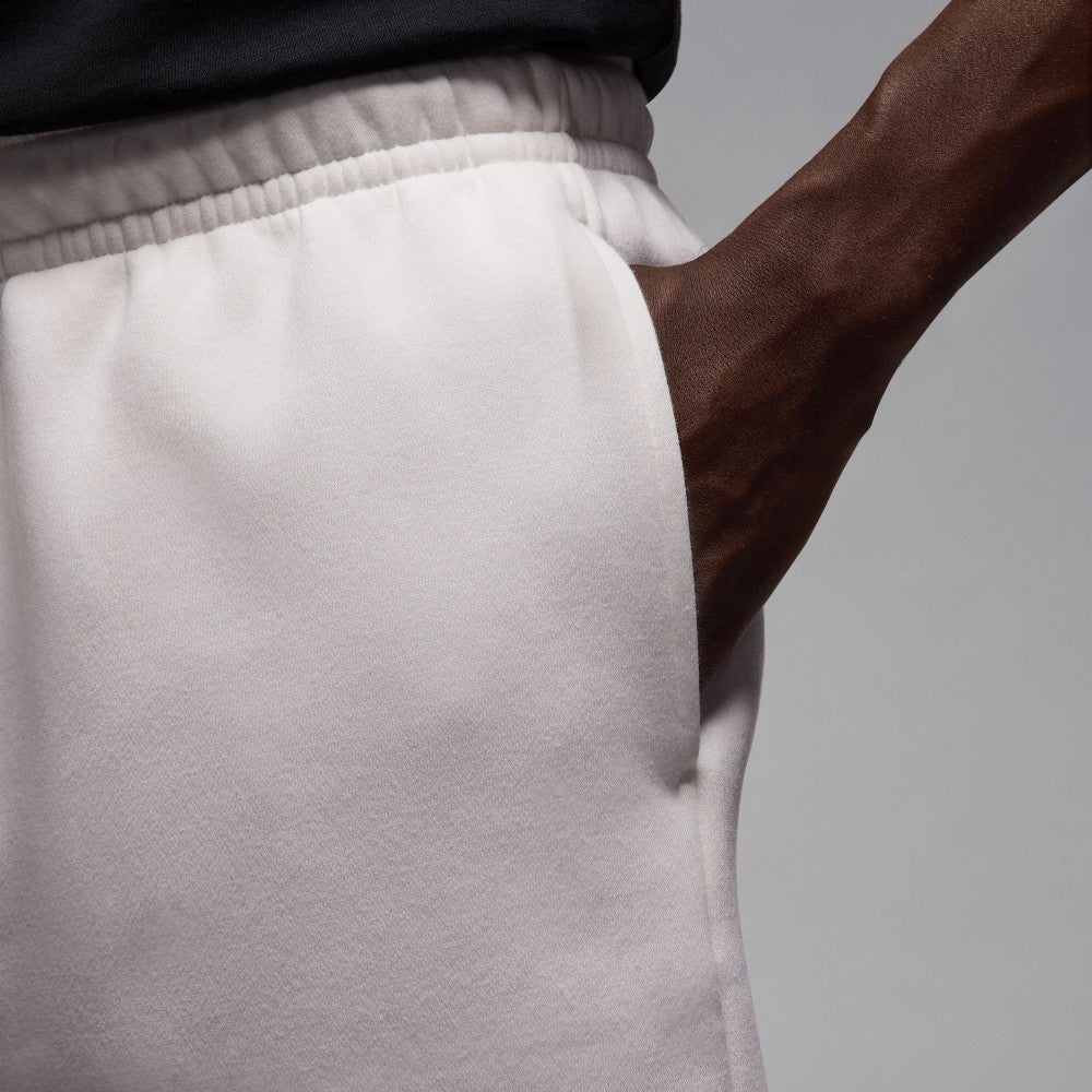 Jordan Brooklyn Fleece Shorts