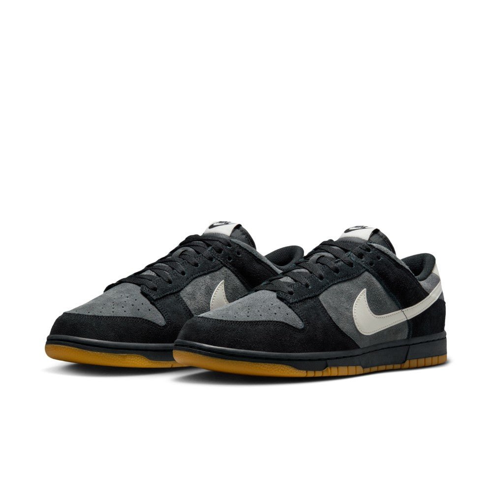 Dunk Low Retro SE Lifestyle Shoes