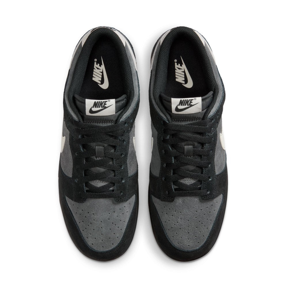 Dunk Low Retro SE Lifestyle Shoes