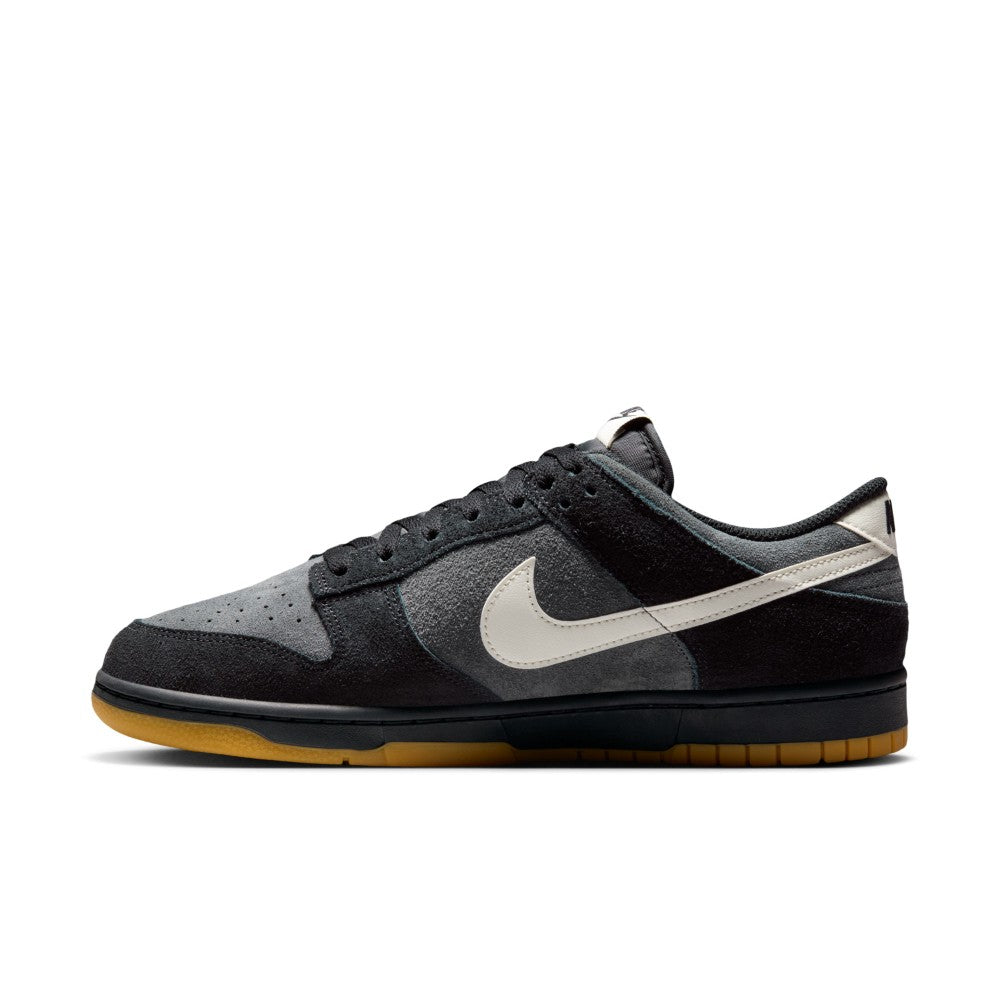 Dunk Low Retro SE Lifestyle Shoes
