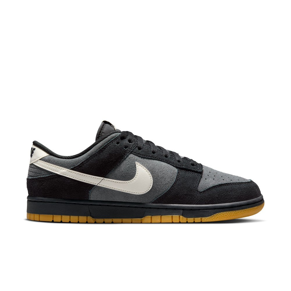 Dunk Low Retro SE Lifestyle Shoes