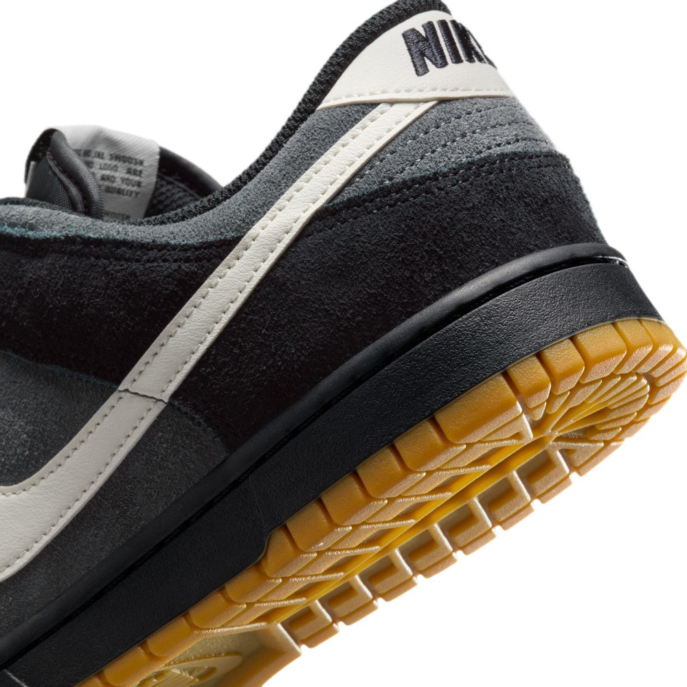 Dunk Low Retro SE Lifestyle Shoes