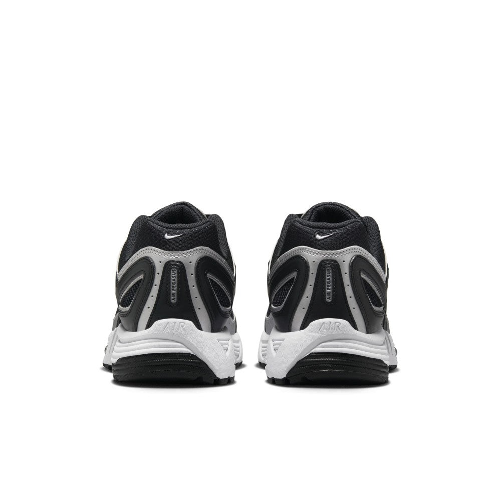 Air Pegasus 2005 Lifestyle Shoes