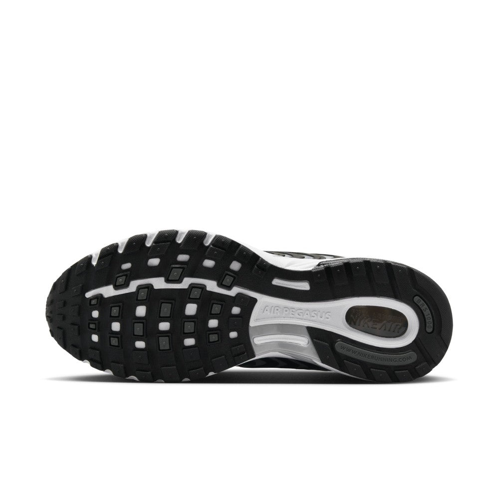 Air Pegasus 2005 Lifestyle Shoes